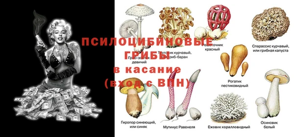 СК Белоозёрский