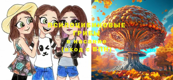 экстази Беломорск