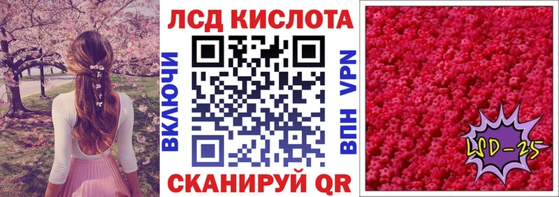 где продают   Буинск  ОМГ ОМГ tor  Марки N-bome 1,8мг 